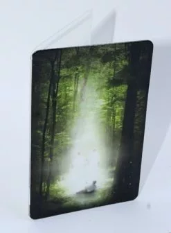 Chad Hawkins Recommend Holder Sacred Grove