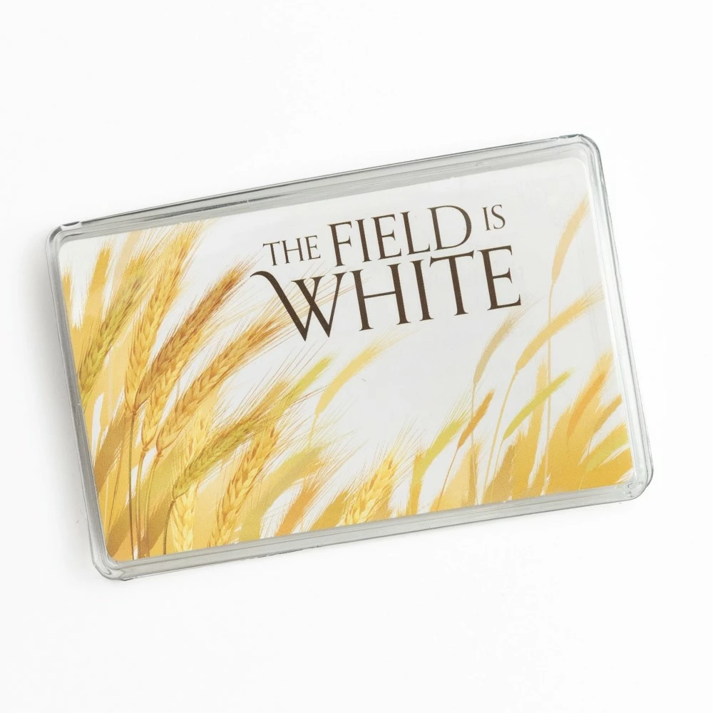 Recommend Holder Field Is White 3 Recommend Holder Field Is White