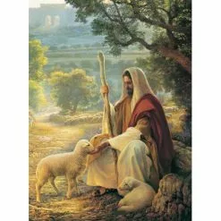 Greg Olsen Recommend Holder Lost No More No Flip