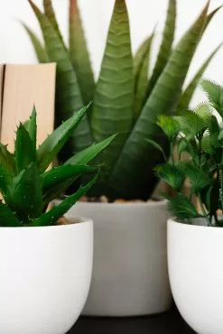 Agave Cement Pot Gray 11 Inch