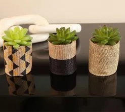 Succulent Flax Bag 4.5 Inch