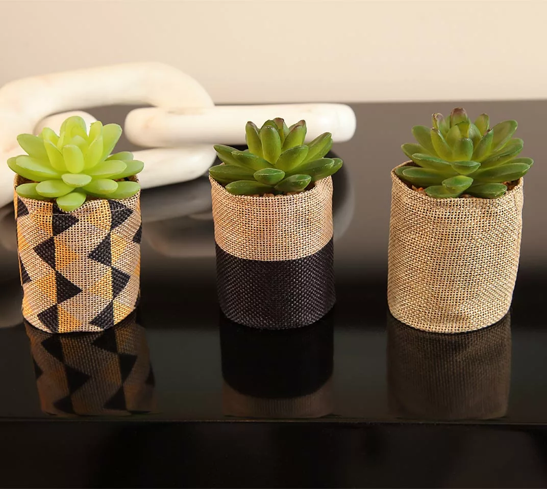 Succulent Flax Bag 4.5 Inch 3 Succulent Flax Bag 4.5 Inch