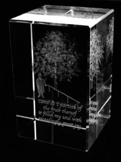 Crystal Cube Lehi's Dream